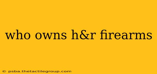 who owns h&r firearms