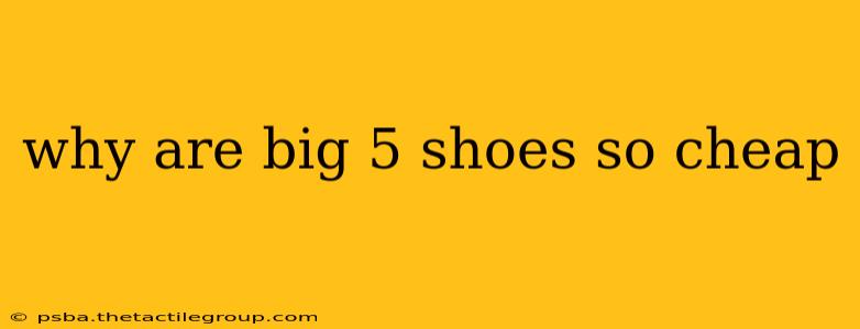 why are big 5 shoes so cheap