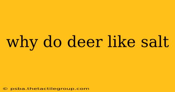 why do deer like salt