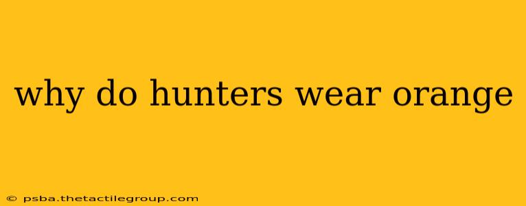 why do hunters wear orange