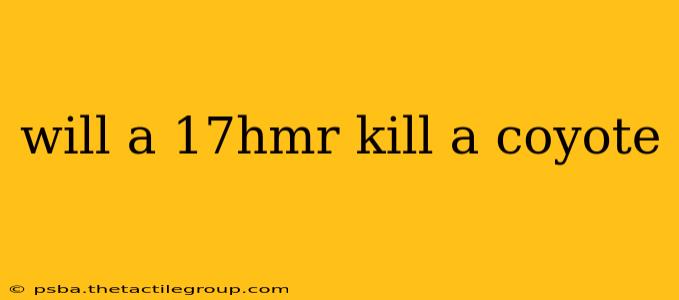 will a 17hmr kill a coyote