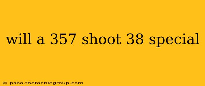 will a 357 shoot 38 special