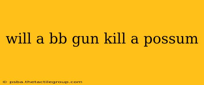 will a bb gun kill a possum