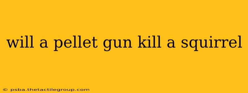 will a pellet gun kill a squirrel