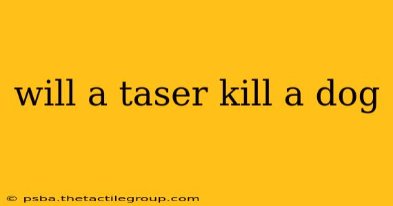 will a taser kill a dog