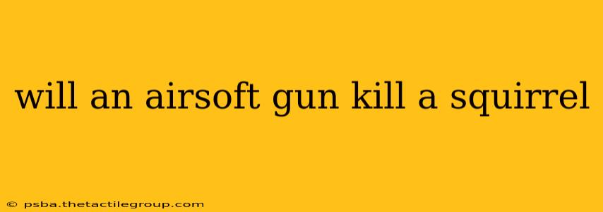 will an airsoft gun kill a squirrel