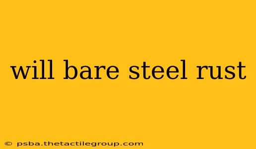 will bare steel rust