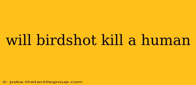 will birdshot kill a human