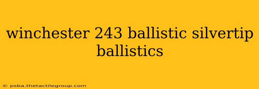 winchester 243 ballistic silvertip ballistics