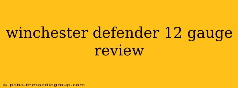 winchester defender 12 gauge review