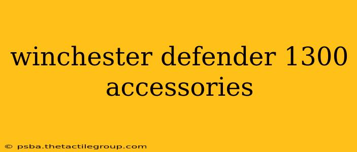 winchester defender 1300 accessories