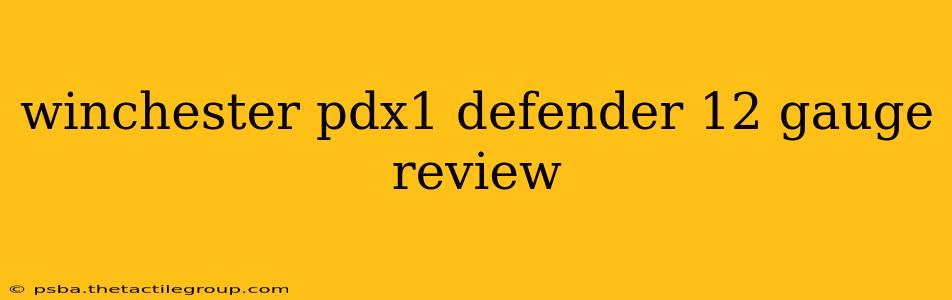 winchester pdx1 defender 12 gauge review