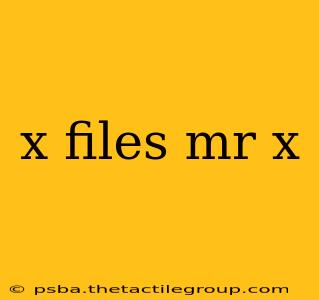 x files mr x