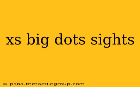 xs big dots sights