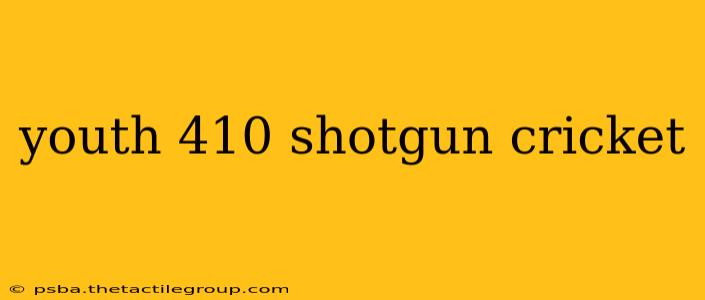 youth 410 shotgun cricket